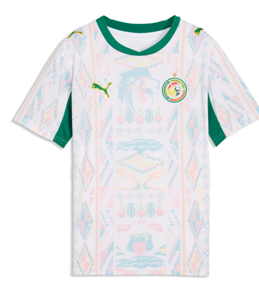 Senegal 🇸🇳 national team