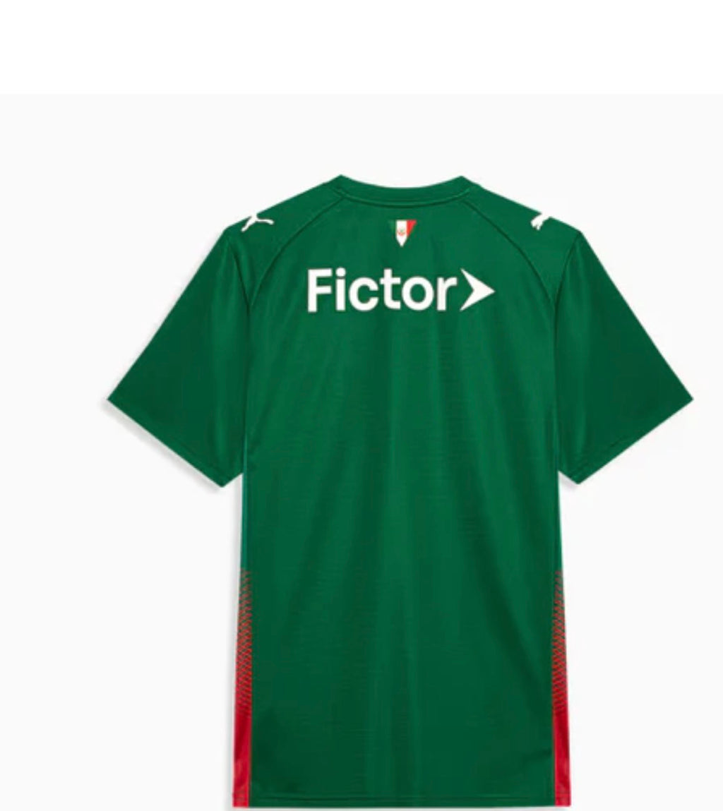 SC palmeiras home jerseys