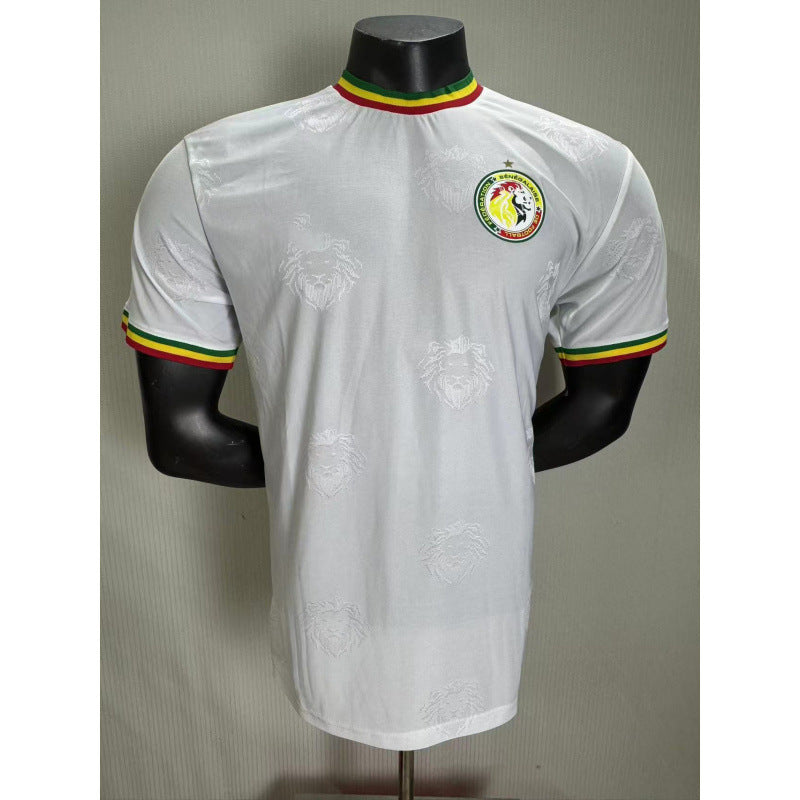 252627 National Team World Cup Africa Cup of Nations  Spain  Fans Football