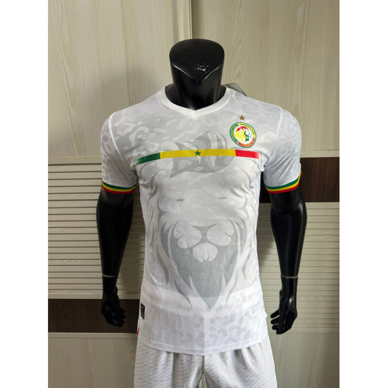 252627 National Team World Cup Africa Cup of Nations  Spain  Fans Football