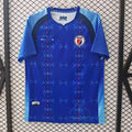 Adult Football Jersey T-Shirt Niche Sport National Team Haiti Soccer Jersey 26 World Cup Men's Top New Style