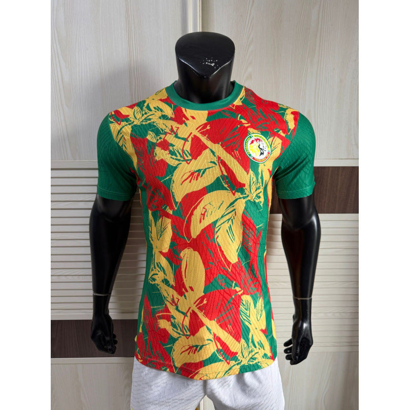 252627 National Team World Cup Africa Cup of Nations Germany Spain Portugal Brazil Mexico Fans Football