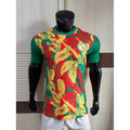 252627 National Team World Cup Africa Cup of Nations Germany Spain Portugal Brazil Mexico Fans Football