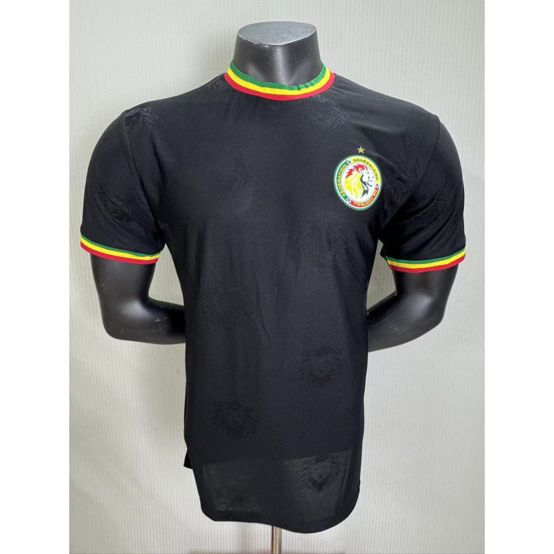 252627 National Team World Cup Africa Cup of Nations  Spain  Fans Football