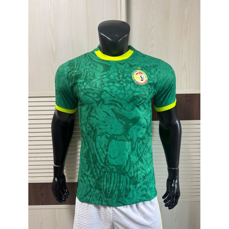 252627 National Team World Cup Africa Cup of Nations  Spain  Fans Football